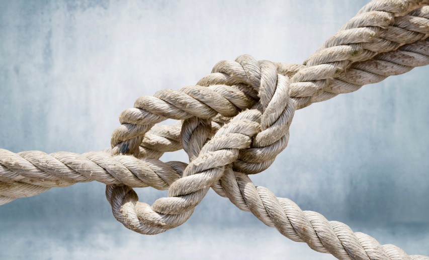  &copy; janvier/stock.adobe.com