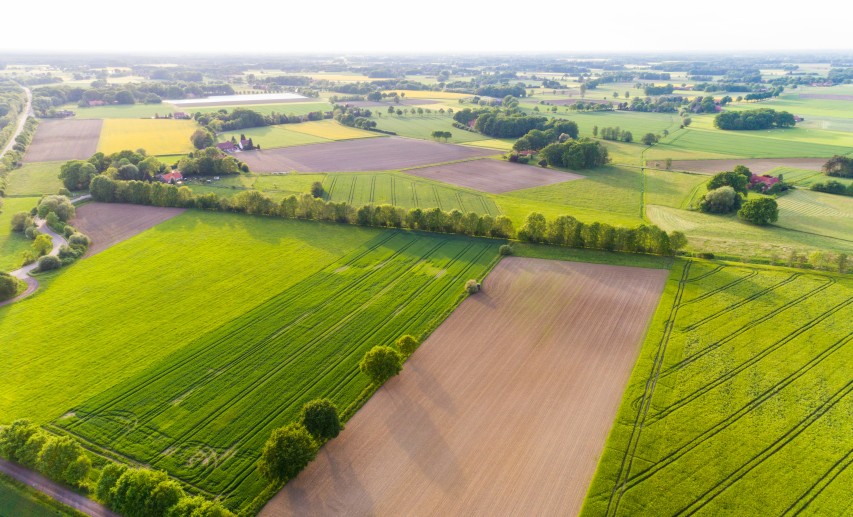 Die neue Bodenschutzstrategie der EU-Kommission soll einen Rahmen mit konkreten Maßnahmen für den Schutz, die Wiederherstellung und nachhaltige Nutzung von Böden bilden. © Christian Schwier/stock.adobe.com