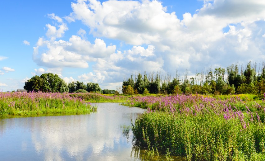 Ziel der Europäischen Kommission ist die Schadstofffreiheit von Luft, Wasser und Boden bis 2050. © Ruud-Morijn/stock.adobe.com