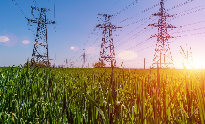 Neben der Chemiebranche leiden auch andere Industriezweige unter den immer weiter steigenden Netzentgelten. © yelantsevv/stock.adobe.com Neben der Chemiebranche leiden auch andere Industriezweige unter den immer weiter steigenden Netzentgelten. © yelantsevv/stock.adobe.com