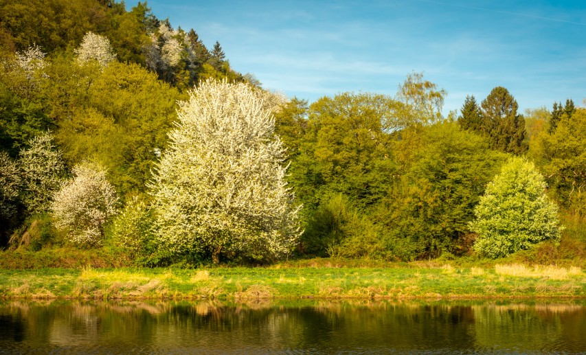  Ein konstruktiver Wasserdialog passt zum Fokus auf Nachhaltigkeit und die Einbeziehung des Klimawandels in die strategische Ausrichtung der chemisch-pharmazeutischen Industrie. © Marcus Retkowietz - stock.adobe.com