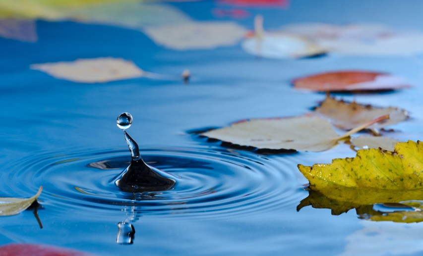 Da Chemieanlagen häufig an Flüssen oder Küsten liegen, ist der Schutz vor Hochwasser integraler Bestandteil der Standorte. © roblan - Fotolia.com