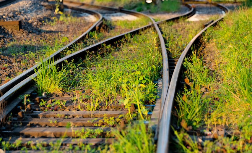 Klagen werden noch anfälliger für Missbrauch, wenn nicht der Verbraucherschutz, sondern eine profitable Einnahmequelle für gewerbliche Klagefinanciers im Vordergrund steht. © ON-Photography - stock.adobe.com