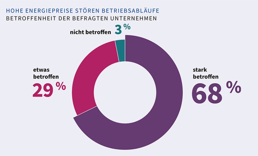  Infografik zur Störung der Betriebsabläufe durch betroffene Unternehmen. Basis ist die VCI-Mitgliederumfrage 2022.