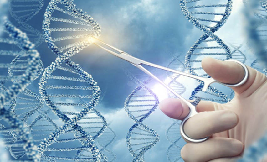 Genome Editing ist eine Sammelbezeichnung für molekularbiologische Methoden, die aus der Natur stammen. - Foto: © NATALIMIS - Fotolia.com Genome Editing ist eine Sammelbezeichnung für molekularbiologische Methoden, die aus der Natur stammen. - Foto: © NATALIMIS - Fotolia.com