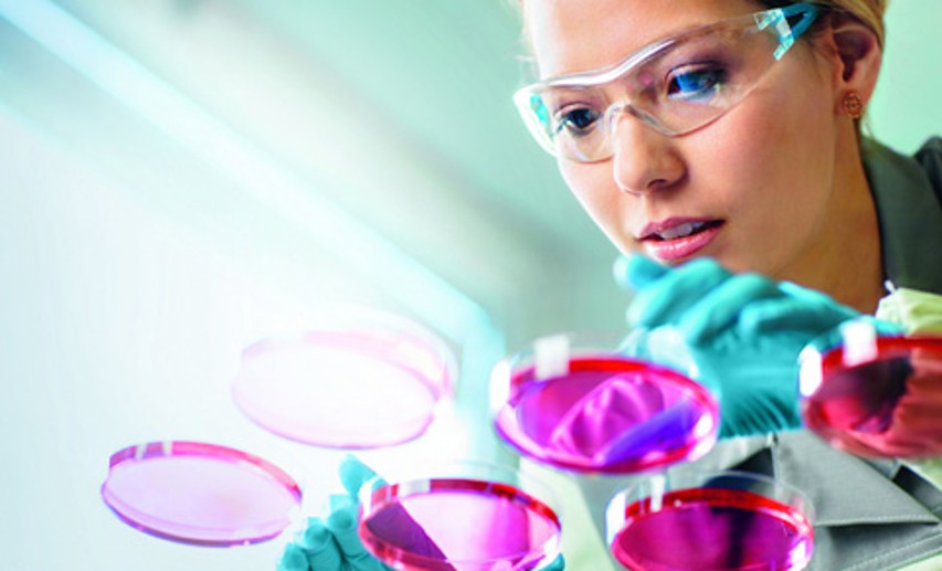 Steuerliche Forschungsförderung: Die Vorbereitungen für den Antrag sollten schon beginnen. - Foto: © Bayer AG Steuerliche Forschungsförderung: Die Vorbereitungen für den Antrag sollten schon beginnen. - Foto: © Bayer AG