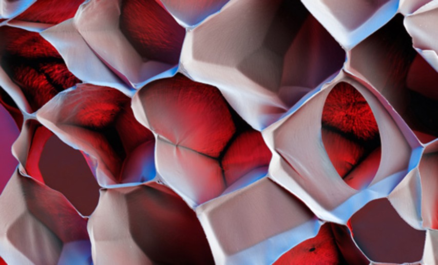 Etwa 70 Prozent aller Innovationen hängen direkt oder indirekt von neuen Materialien und Werkstoffen ab. - Foto: © BASF SE Etwa 70 Prozent aller Innovationen hängen direkt oder indirekt von neuen Materialien und Werkstoffen ab. - Foto: © BASF SE