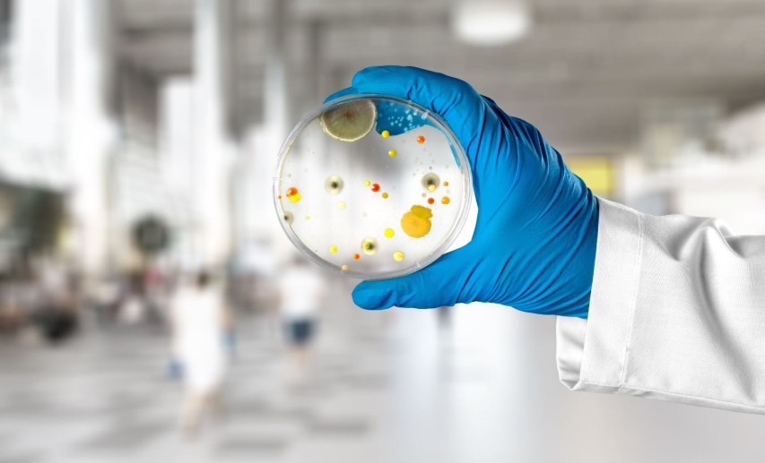 Die Biozidprodukte-Verordnung (BPR) regelt das Inverkehrbringen und die Verwendung von Biozidprodukten, die aufgrund der Aktivität der in ihnen enthaltenen Wirkstoffe zum Schutz von Mensch, Tier, Materialien oder Erzeugnissen vor Schadorganismen, wie Schädlingen oder Bakterien, eingesetzt werden. - Foto: © BillionPhotos.com-stock.adobe.com Die Biozidprodukte-Verordnung (BPR) regelt das Inverkehrbringen und die Verwendung von Biozidprodukten, die aufgrund der Aktivität der in ihnen enthaltenen Wirkstoffe zum Schutz von Mensch, Tier, Materialien oder Erzeugnissen vor Schadorganismen, wie Schädlingen oder Bakterien, eingesetzt werden. - Foto: © BillionPhotos.com-stock.adobe.com