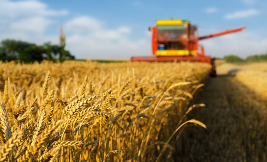 Biodiversität und Artenvielfalt sind gesamtgesellschaftliche Aufgaben, aber speziell für die Landwirtschaft von besonderer Relevanz. - Foto: © Sasa Prudkov/shutterstock