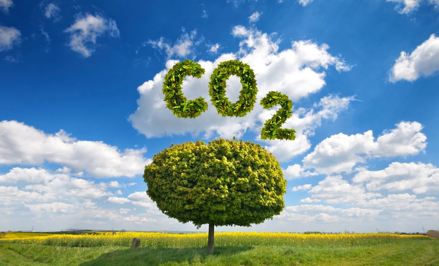 Der Zugang der chemischen Industrie zu alternativen Kohlenstoffquellen, insbesondere zu CO₂/CO aus Industrieprozessen, Abfällen und biobasierten Quellen, ist eine absolute Notwendigkeit. © Jenny Sturm/stock.adobe.com